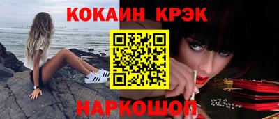 индика Гатчина