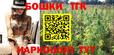 индика Гатчина