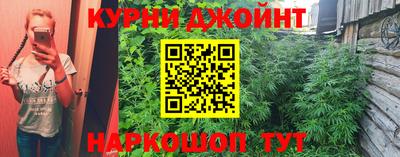 индика Гатчина