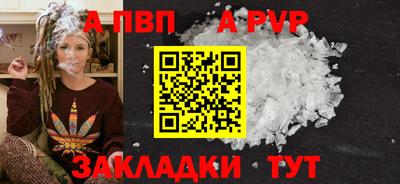 индика Гатчина
