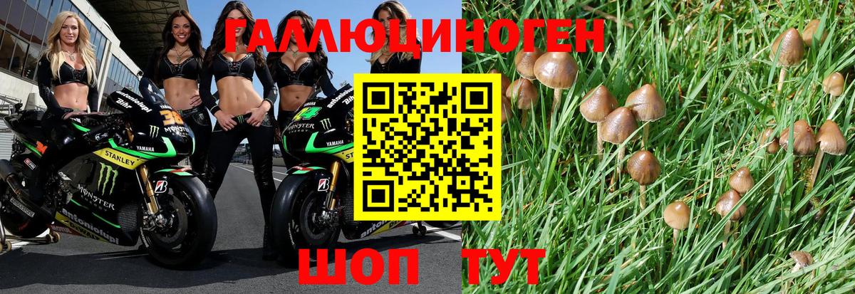 Галлюциногенные грибы MAGIC MUSHROOMS Тимашёвск