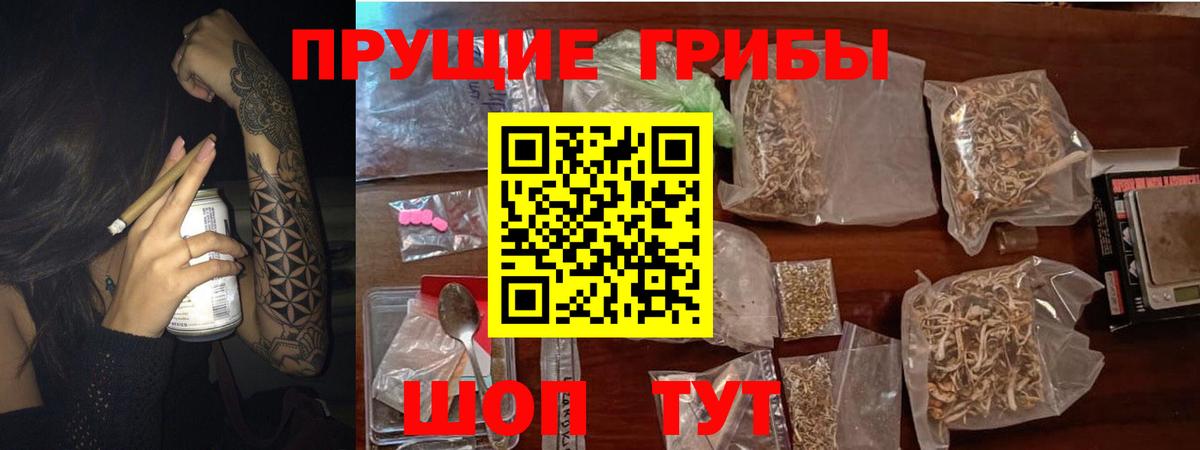 Псилоцибиновые грибы прущие грибы  Вход с VPN  Тимашёвск 