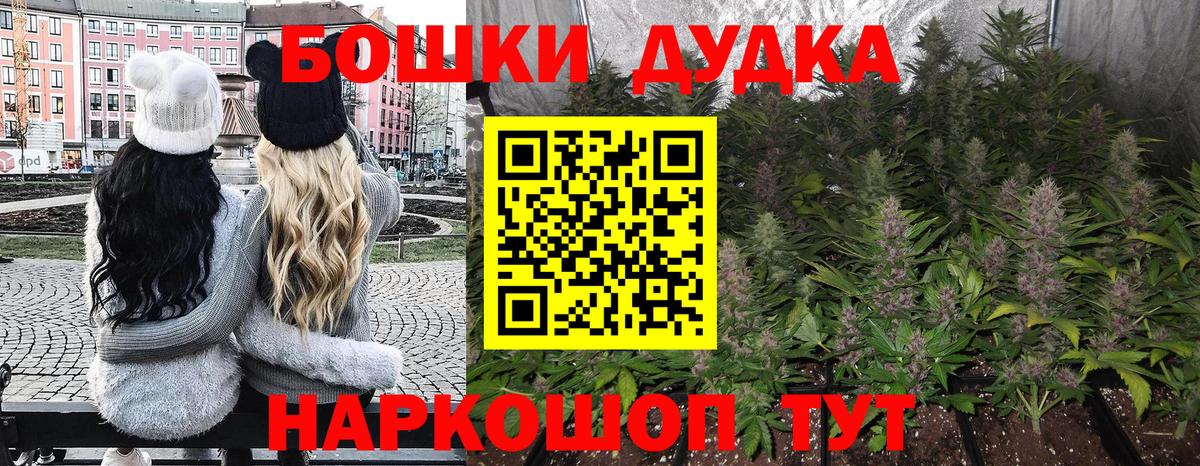 Бошки Шишки индика Тимашёвск